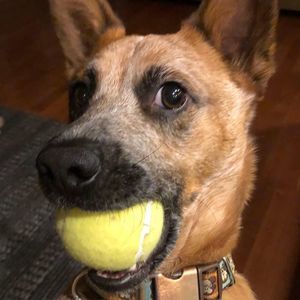 Meet your Posher, Janelle